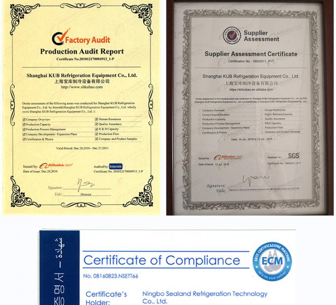 SPAE053D Certificação CE Frigorífico de ar por evaporação industrial de três ventiladores para salas frias 6