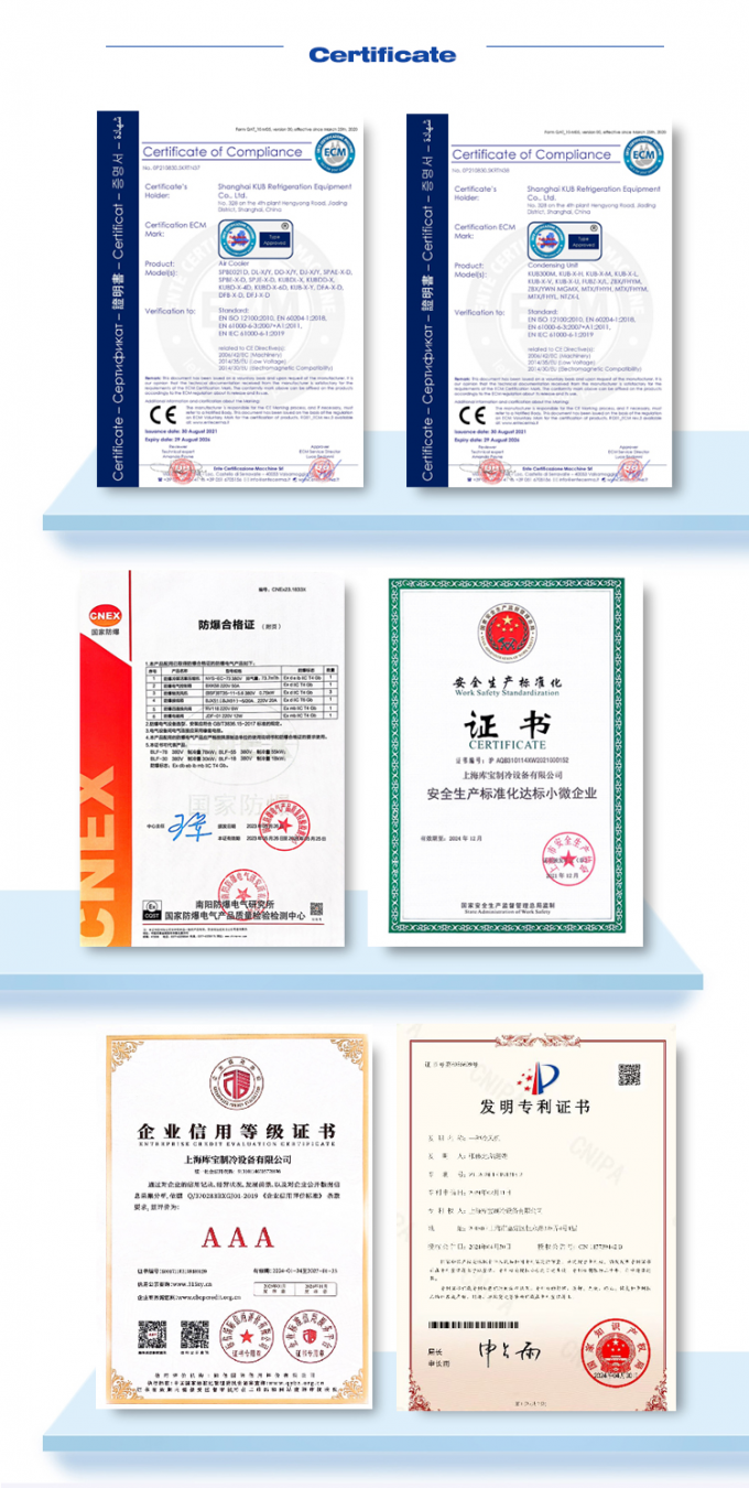 Certificado DSD-40 CE Fabricado na China Refrigerador de ar de teto Duplo Evaporador de teto lateral Preço Evaporador de quarto frio Fabricante 7