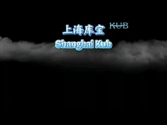 Unidade Condensadora Copeland 3HP Refrigerada a Ar para Câmara Fria 380V50HZ