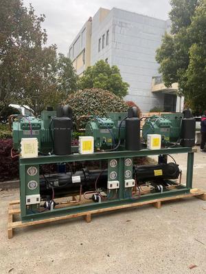 10HP*3 Horsepower Water Cooled Condensing Unit with 380V 3PH 50Hz and 1 Year Warranty