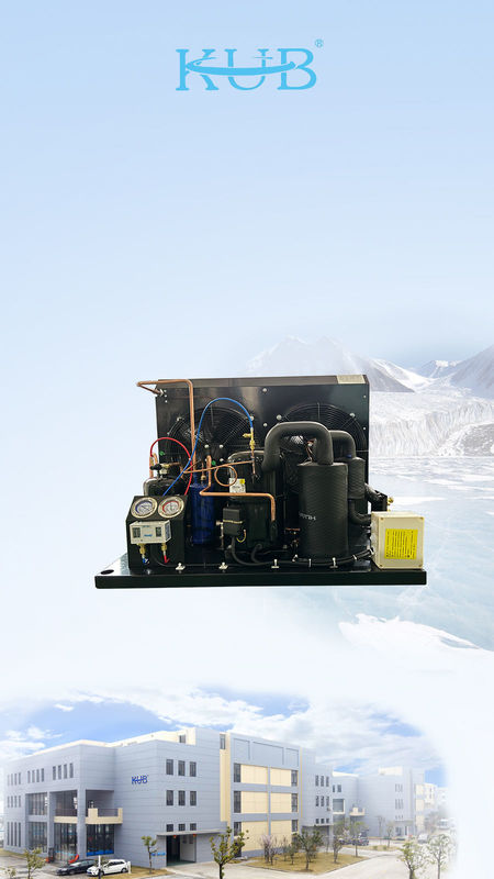 TAG2516Z Tecumseh compressor unidade de refrigeração unidade de congelamento unidade de condensação r404a para caminhada na sala de congelamento