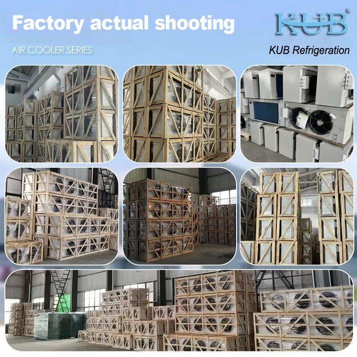 Produtor de equipamento de refrigeração, fábrica de refrigeração, frigorífico refrigerado