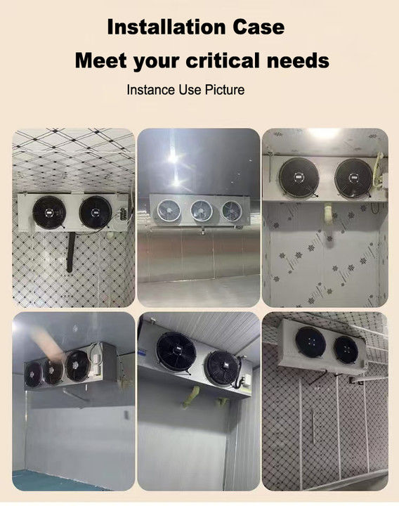 Produtor de equipamento de refrigeração, fábrica de refrigeração, frigorífico refrigerado