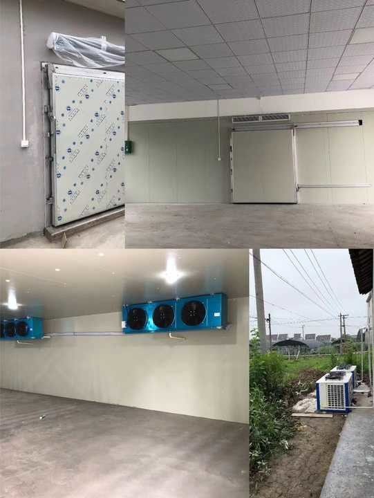 10m3 Casa de armazenamento a frio Venda separada Cortinas de armazenamento a frio Ventilador Prateleiras -18°C Câmara de armazenamento a frio
