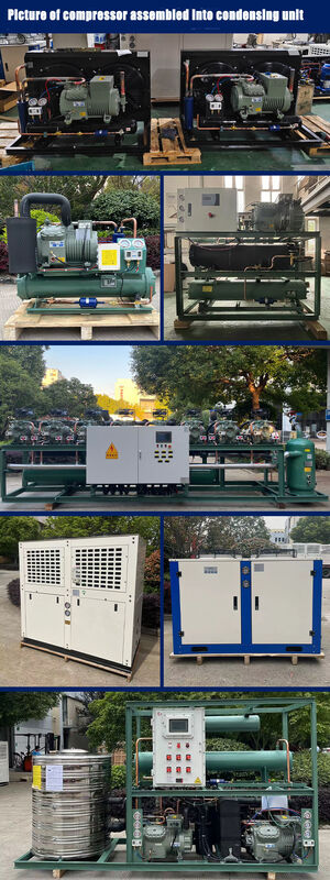 2HP a 50HP R404A Refrigerante Compressor de armazenamento a frio personalizável Compressor de pistão semi-hermético