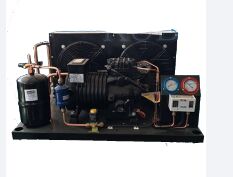 BFS81 Sala de frio fiável Compressor semi-hermético Unidade de condensação Armazenamento a frio Unidade de refrigeração Fácil de operar