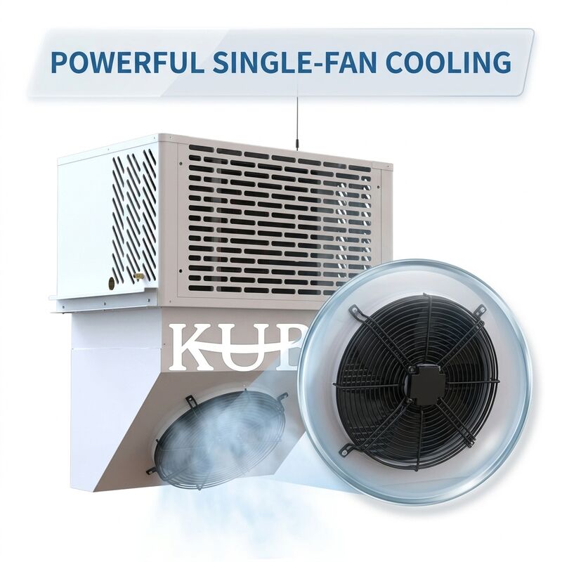 A instalação de condensação hermética pequena à prova de intempéries exterior da sala fria do alojamento do rolo R404A da unidade IP65 3HP