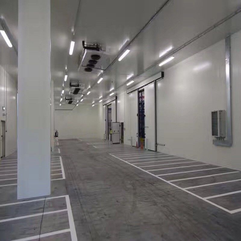 Sala de armazenamento frio nova para o refrigerador de ar vegetal da sala fria do beaf da batata da carne